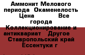 Аммонит Мелового периода. Окаменелость. › Цена ­ 2 800 - Все города Коллекционирование и антиквариат » Другое   . Ставропольский край,Ессентуки г.